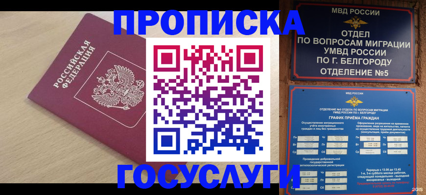 прописка законно в Киренске